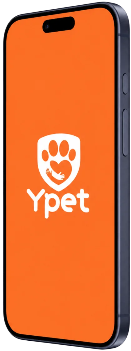 Aplicativo Ypet no celular